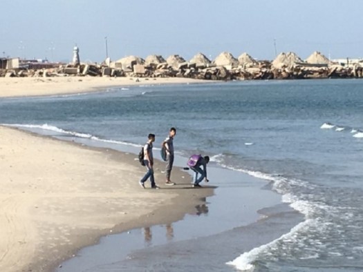 photo20credit20brant20rosen