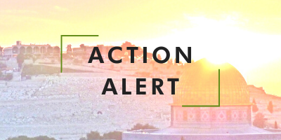 Action Alert